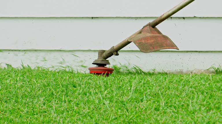 Best Weed Control  in White Plains, NY
